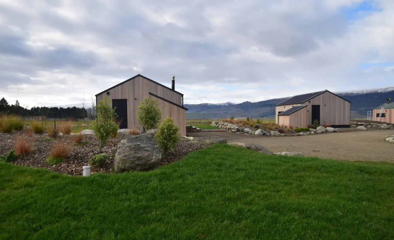 Sunflowers, Sustainability and Sheep: Enhancing Regenerative Farming Practices on Tinwald Farm