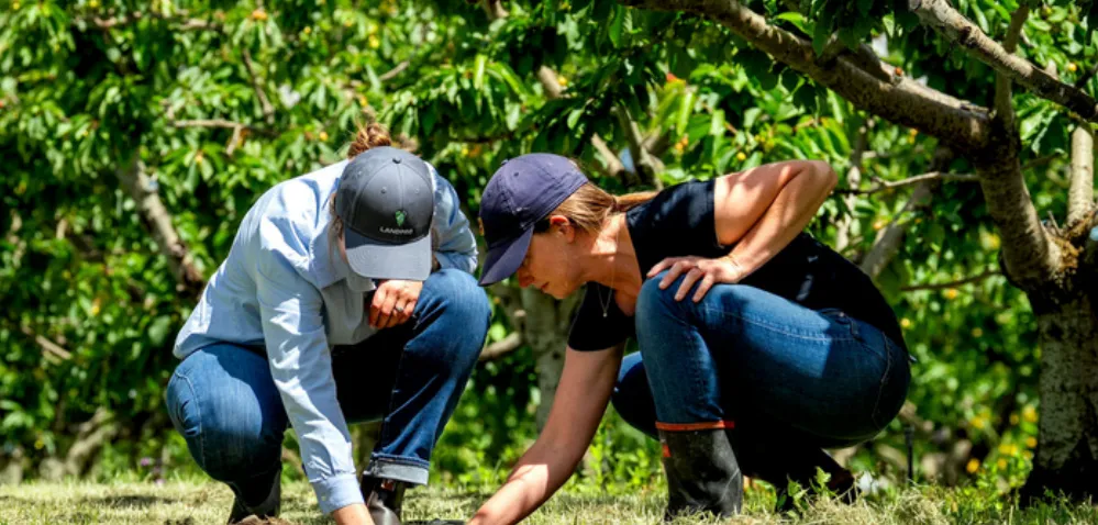 Capability and Services Listing for Planning, Environmental and Farm Team