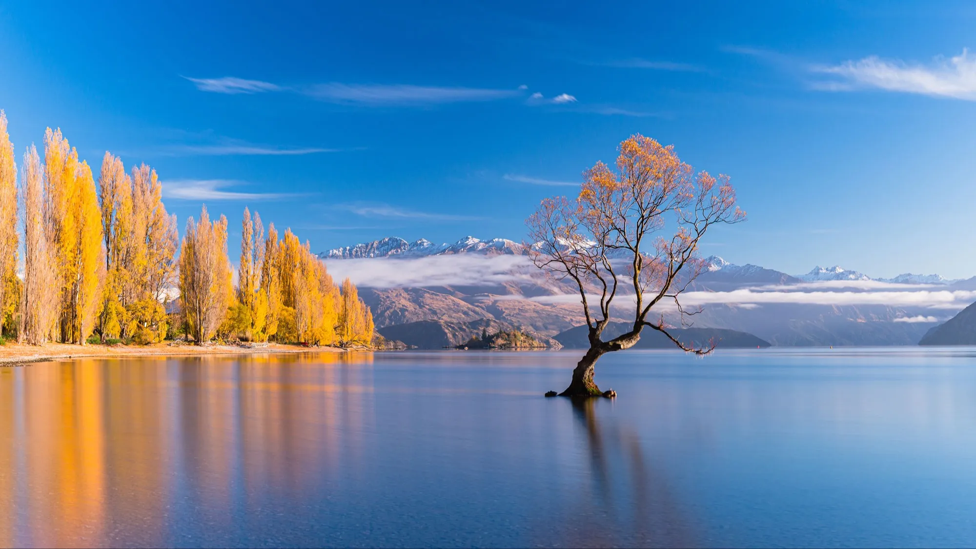 wanaka central otago