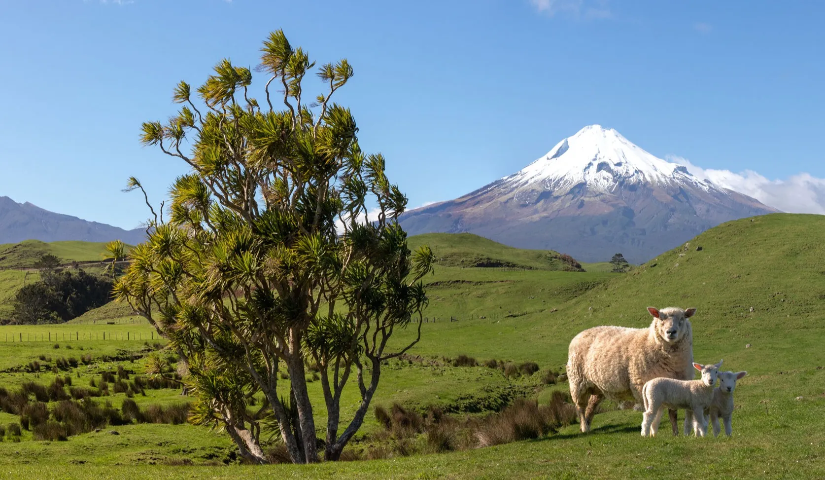 mt taranaki